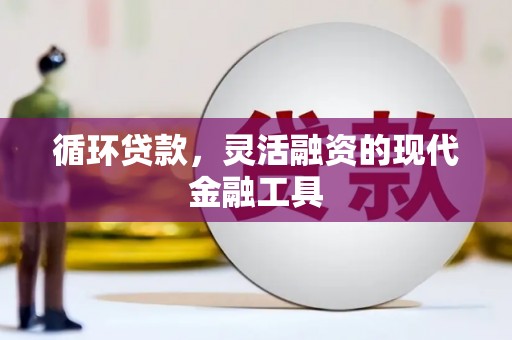 曲麻莱循环贷款，灵活融资的现代金融工具