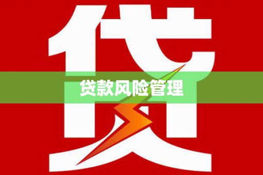 曲麻莱贷款风险管理