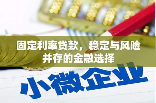 曲麻莱固定利率贷款，稳定与风险并存的金融选择