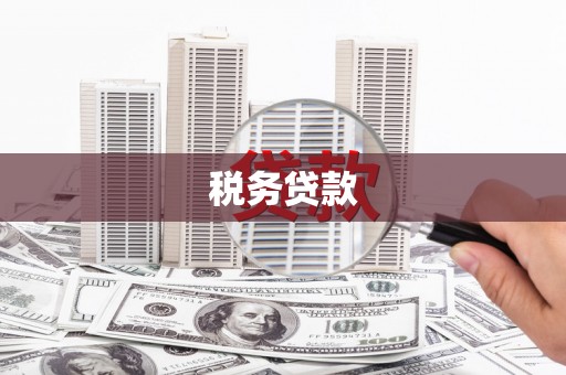 曲麻莱税务贷款