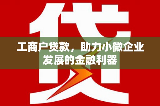 曲麻莱工商户贷款，助力小微企业发展的金融利器