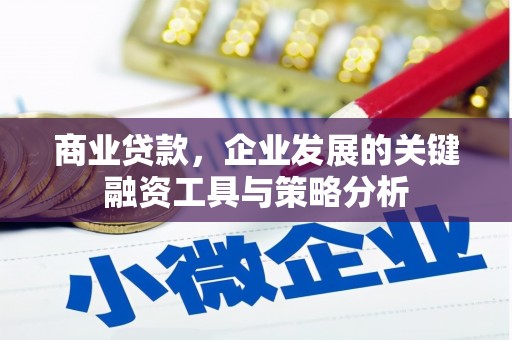 曲麻莱商业贷款，企业发展的关键融资工具与策略分析