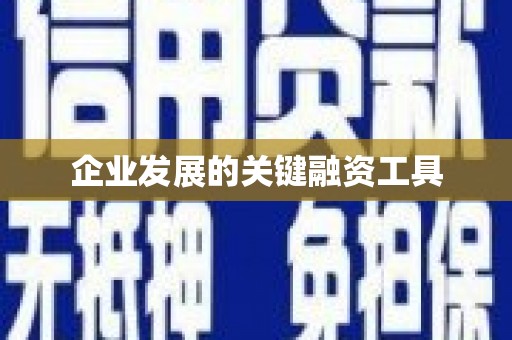 曲麻莱企业发展的关键融资工具