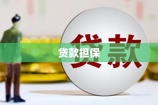 曲麻莱贷款担保