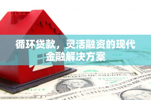 曲麻莱循环贷款，灵活融资的现代金融解决方案
