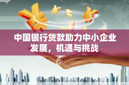 曲麻莱中国银行贷款助力中小企业发展，机遇与挑战