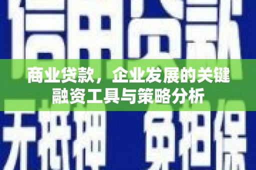 曲麻莱商业贷款，企业发展的关键融资工具与策略分析