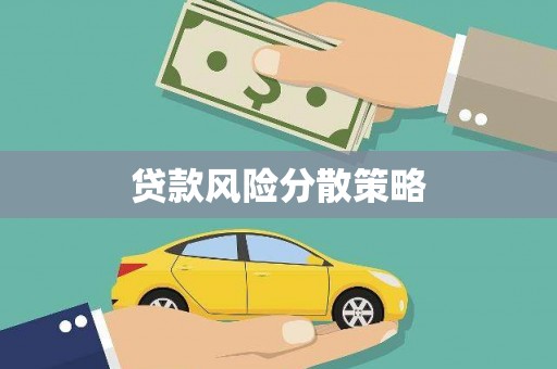 曲麻莱贷款风险分散策略