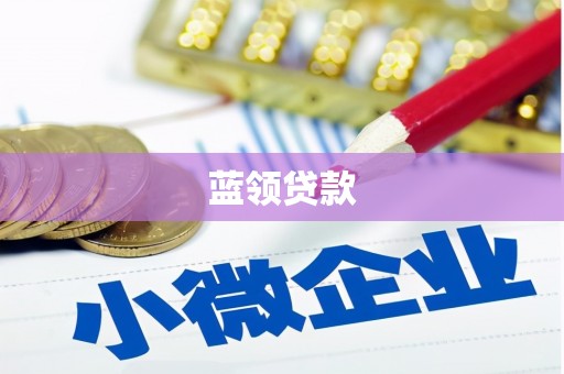 曲麻莱蓝领贷款