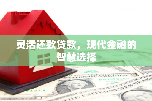 曲麻莱灵活还款贷款，现代金融的智慧选择