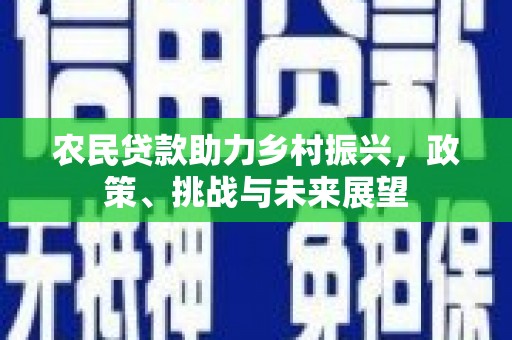 曲麻莱农民贷款助力乡村振兴，政策、挑战与未来展望