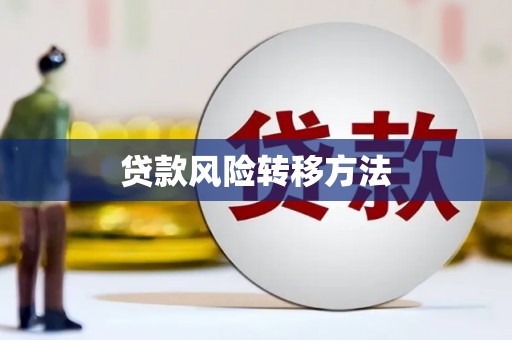 曲麻莱贷款风险转移方法