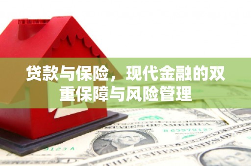 曲麻莱贷款与保险，现代金融的双重保障与风险管理