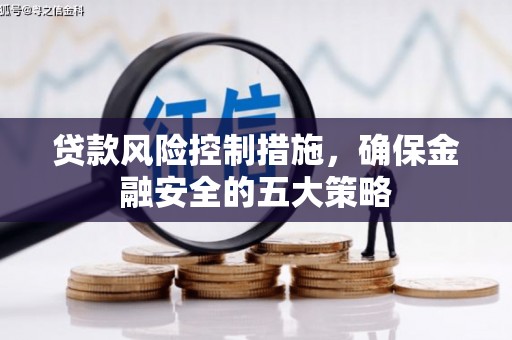 曲麻莱贷款风险控制措施，确保金融安全的五大策略