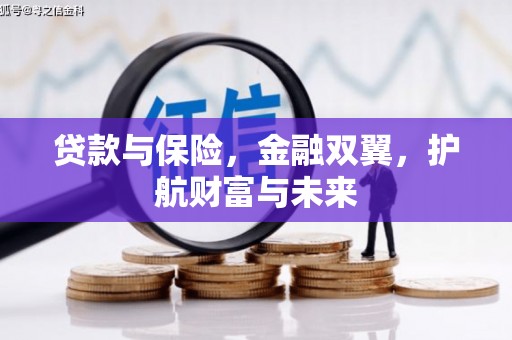 曲麻莱贷款与保险，金融双翼，护航财富与未来