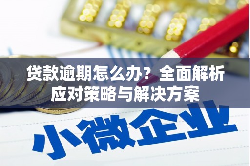 曲麻莱贷款逾期怎么办？全面解析应对策略与解决方案