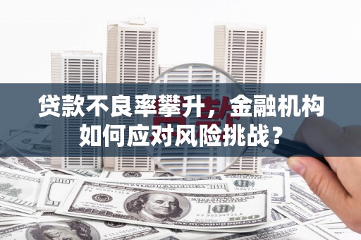 曲麻莱贷款不良率攀升，金融机构如何应对风险挑战？