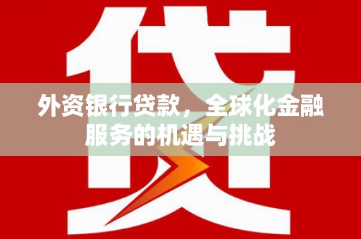 曲麻莱外资银行贷款，全球化金融服务的机遇与挑战