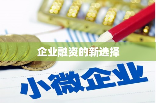 曲麻莱企业融资的新选择