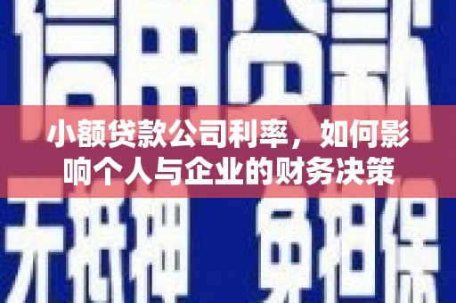 曲麻莱小额贷款公司利率，如何影响个人与企业的财务决策