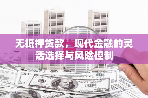 曲麻莱无抵押贷款，现代金融的灵活选择与风险控制