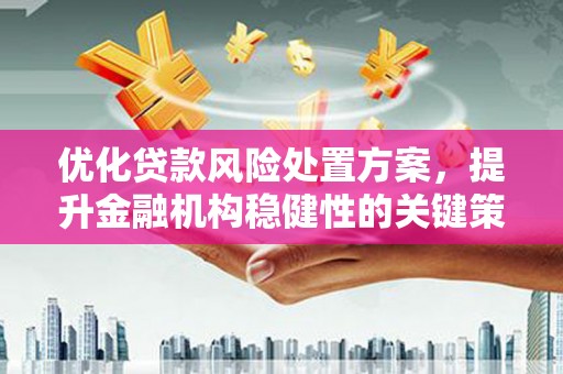 曲麻莱优化贷款风险处置方案，提升金融机构稳健性的关键策略