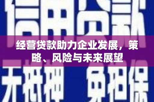 曲麻莱经营贷款助力企业发展，策略、风险与未来展望