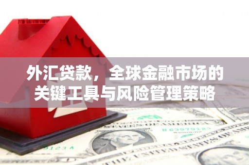曲麻莱外汇贷款，全球金融市场的关键工具与风险管理策略