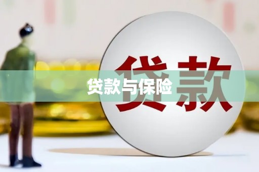曲麻莱贷款与保险