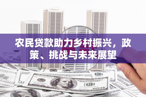 曲麻莱农民贷款助力乡村振兴，政策、挑战与未来展望