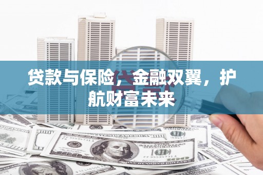 曲麻莱贷款与保险，金融双翼，护航财富未来