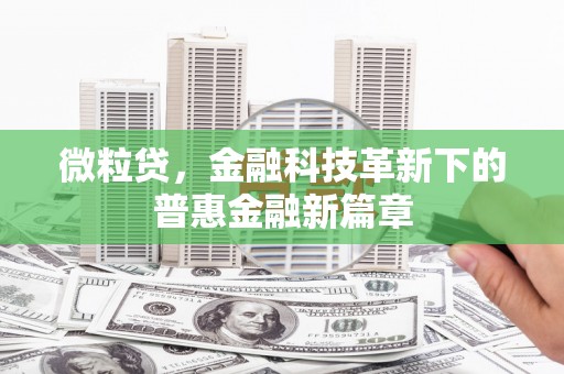 曲麻莱微粒贷，金融科技革新下的普惠金融新篇章