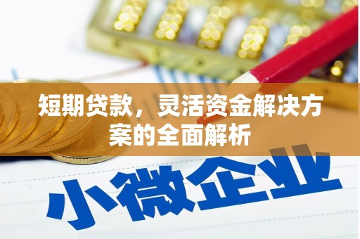 曲麻莱短期贷款，灵活资金解决方案的全面解析