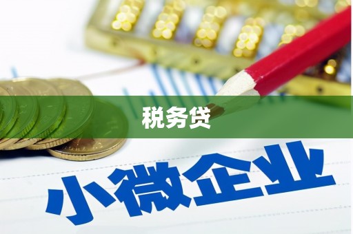 曲麻莱税务贷