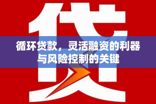 曲麻莱循环贷款，灵活融资的利器与风险控制的关键