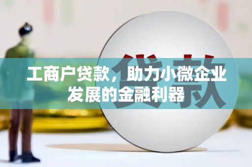 曲麻莱工商户贷款，助力小微企业发展的金融利器