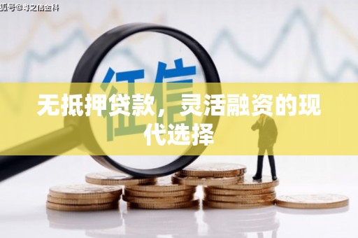曲麻莱无抵押贷款，灵活融资的现代选择