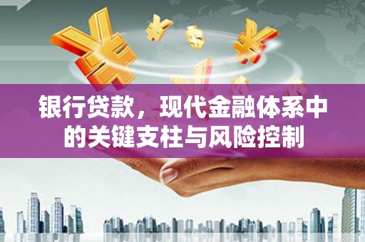 曲麻莱银行贷款，现代金融体系中的关键支柱与风险控制