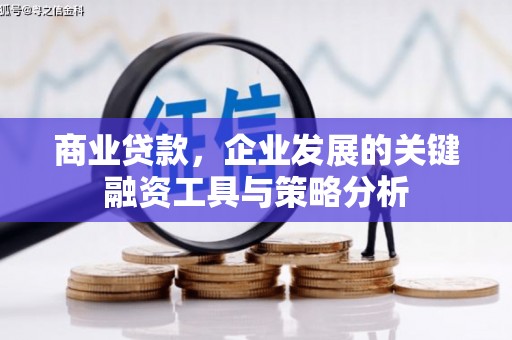曲麻莱商业贷款，企业发展的关键融资工具与策略分析