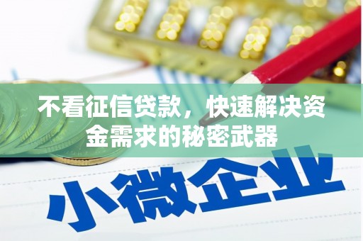 曲麻莱不看征信贷款，快速解决资金需求的秘密武器