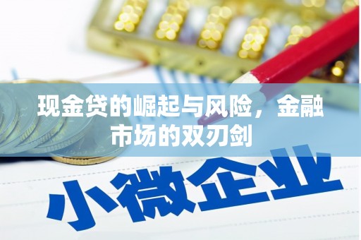 曲麻莱现金贷的崛起与风险，金融市场的双刃剑