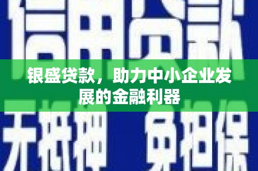 曲麻莱银盛贷款，助力中小企业发展的金融利器