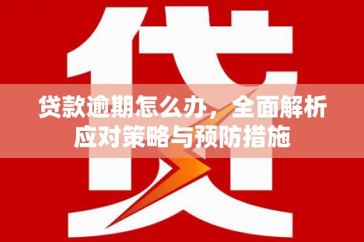 曲麻莱贷款逾期怎么办，全面解析应对策略与预防措施