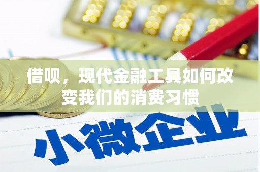曲麻莱借呗，现代金融工具如何改变我们的消费习惯