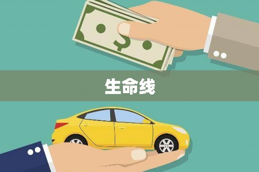 曲麻莱生命线