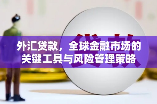 曲麻莱外汇贷款，全球金融市场的关键工具与风险管理策略