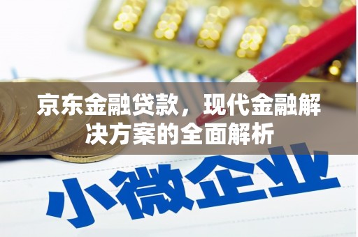 曲麻莱京东金融贷款，现代金融解决方案的全面解析