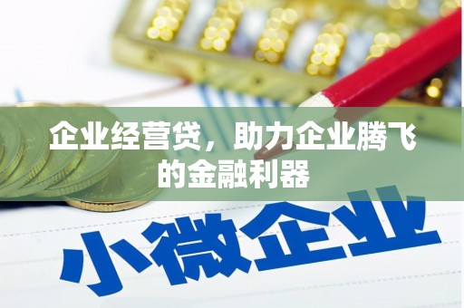 曲麻莱企业经营贷，助力企业腾飞的金融利器