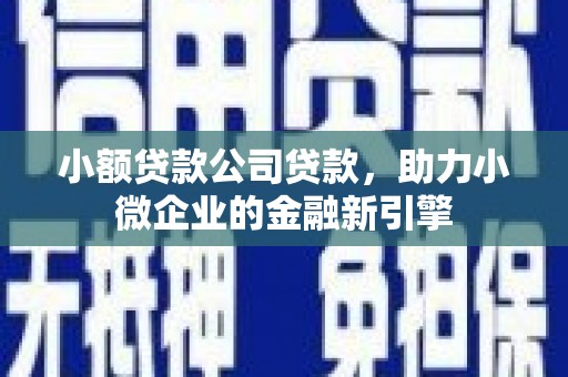 曲麻莱小额贷款公司贷款，助力小微企业的金融新引擎