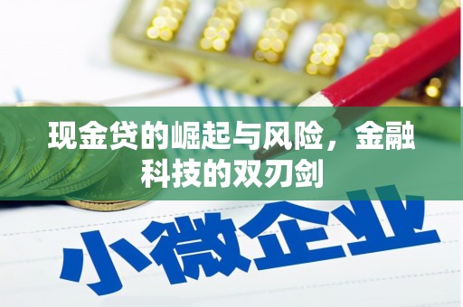 曲麻莱现金贷的崛起与风险，金融科技的双刃剑